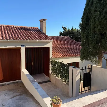 Soleil 1481 Bormes-les-Mimosas